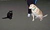 Christmas_2006_010-1.jpg