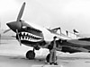 Cliff-Frank_Tallmans_P-40.jpg