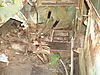 DSC000473.JPG