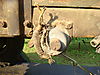 DSC009972.jpg