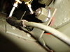 DSC01012.JPG