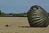 DSC01351.JPG