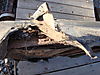 DSC01631.JPG