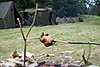 DSC02178.JPG