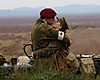DSC02520aJPG.jpg