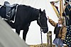 DSC02846a.JPG
