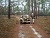 DSC03187-s.JPG