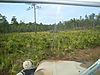 DSC03192-s.JPG
