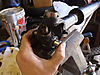 DSC032231.JPG