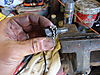 DSC032831.JPG
