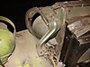 DSC04226.jpg