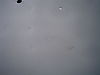 DSC06539.JPG