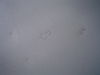 DSC06540.JPG