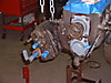 DSCF0748.JPG