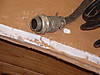 DSCF0786.JPG