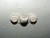 DSCF6538.JPG