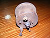 DSCF9277.JPG