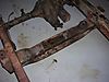 DSCN6819.JPG