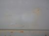 DSCN8819.JPG
