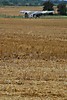DSC_0560.JPG