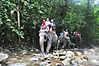 DSC_9355_resize.JPG