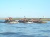 DUKW_Ride_Conv_19.jpg