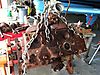Dis_assembly_Johns_Motor_8_.JPG