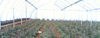 Ethiopia-Project-420x159.jpg