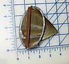 Fuel_filter_12_Jun_07.JPG