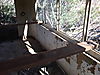 G-506_796.jpg
