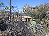 G-506_799.jpg