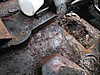 GPW223463s3.jpg