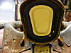 Gas_and_water_cans_023.jpg