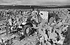 Halftrack_w_machine_gunmmmmm1.jpg