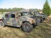 Hummers_26_Mar_08.jpg