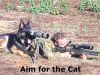 Hunting-Dog.jpg