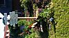 IMG-20160605-WA0004.jpeg