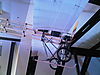 IMG01179-20130728-1559.jpg