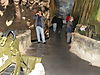 IMG_00284.JPG