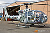 IMG_0174m_800_copy.jpg