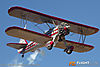 IMG_0216m_8001.jpg