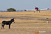 IMG_0517m_8001.jpg