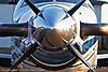 IMG_0802m_8001.jpg
