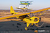 IMG_0869m_8001.jpg