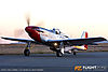 IMG_1036m_800.jpg