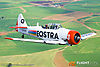 IMG_1086m_800_copy.jpg