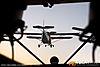 IMG_1721m_800.jpg