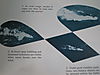 IMG_1829_1_.JPG