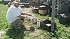 IMG_20140504_100712_149.jpg