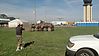 IMG_20140504_170833_961.jpg